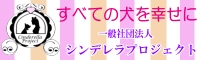 シンデレラプロジェクト